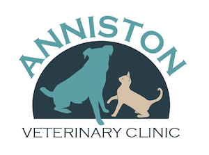 Anniston Veterinary Clinic